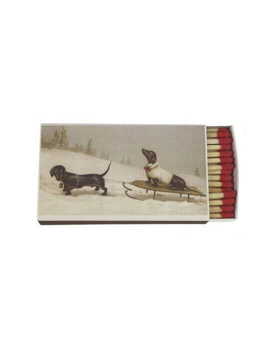 Tikkuaski Mäyräkoira