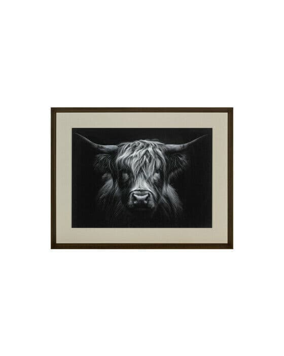 The Strenght of a Highland Cow