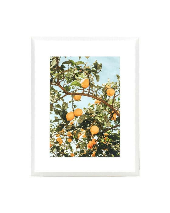 Lemons
