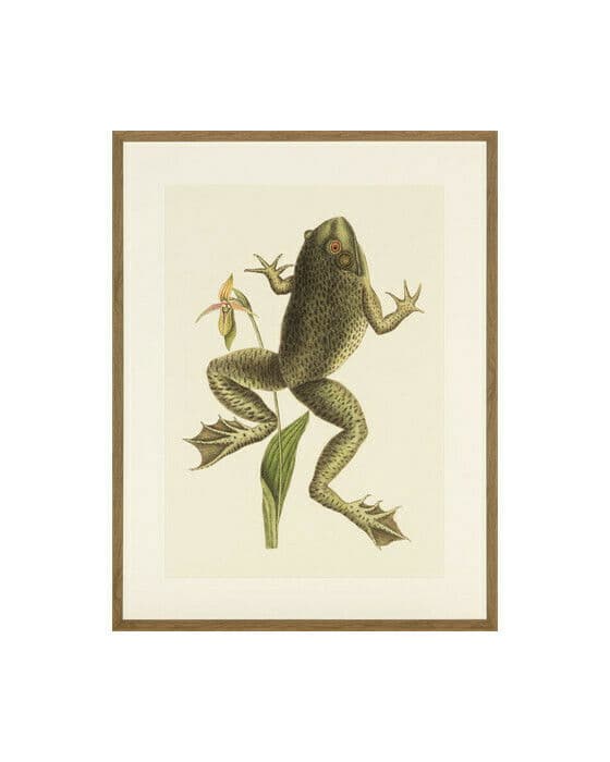 Big Jumping Frog