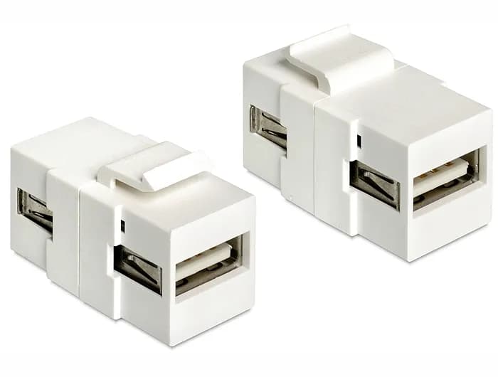 DeLock Keystone Module USB-A - USB-A 2.0 -sovitin, Valkoinen