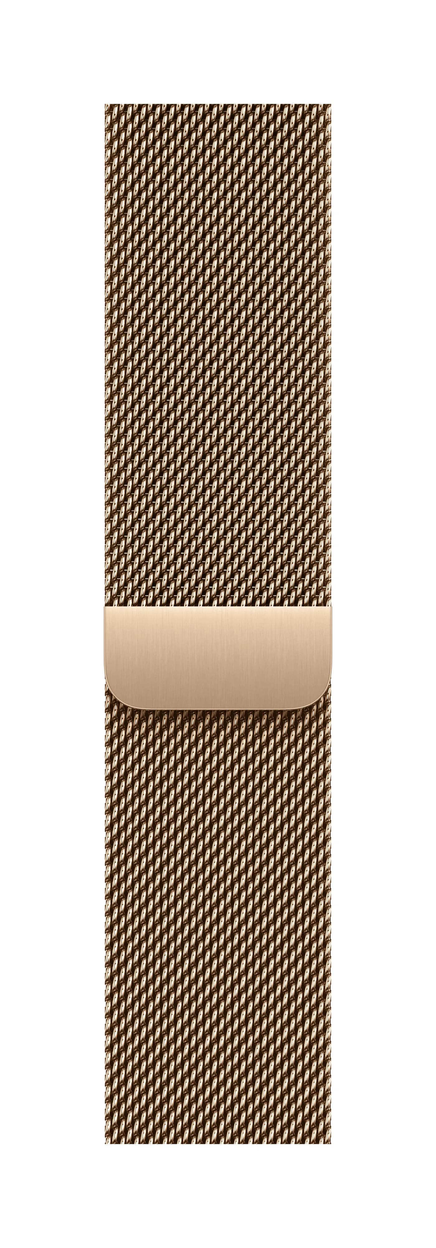 Apple Watch 40 mm -milanolaisranneke, kultainen – Apple