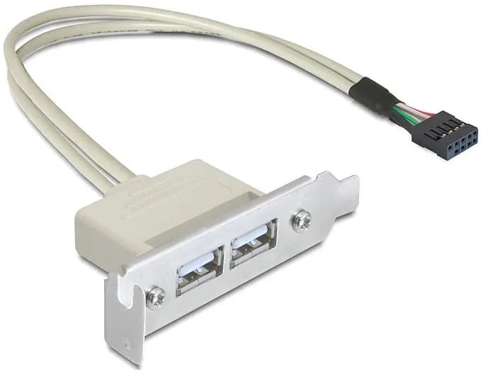 DeLOCK intern kabel för USB 2.0, IDC10 ha - 2xUSB 2.0 A ho, 0,5m – De-Lock