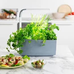 TREGREN Kitchen Garden T6 Harmaa