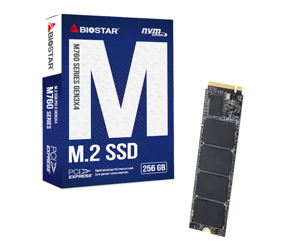 BIOSTAR SA122PME36 256 Gt M.2 PCIe 4.0 NVMe -SSD-levy