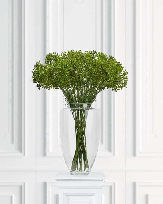 Allium  leikkokukka vihreä – Newport