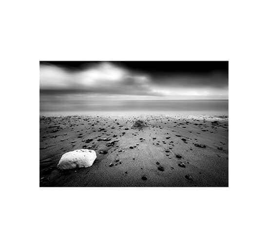 Shells – Cobra Art