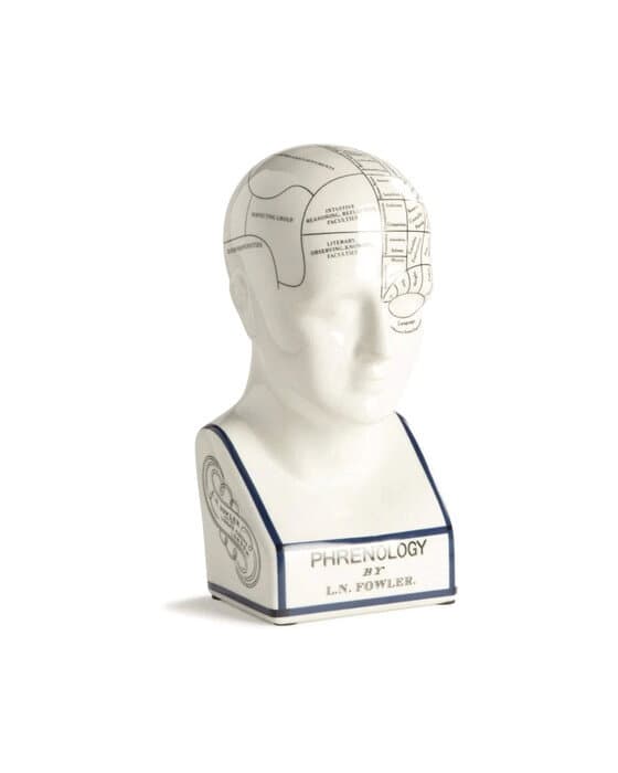 Phrenology head koriste – Authentic Models
