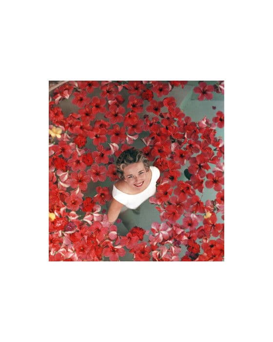 Hibiscus Flowers – Slim Aarons