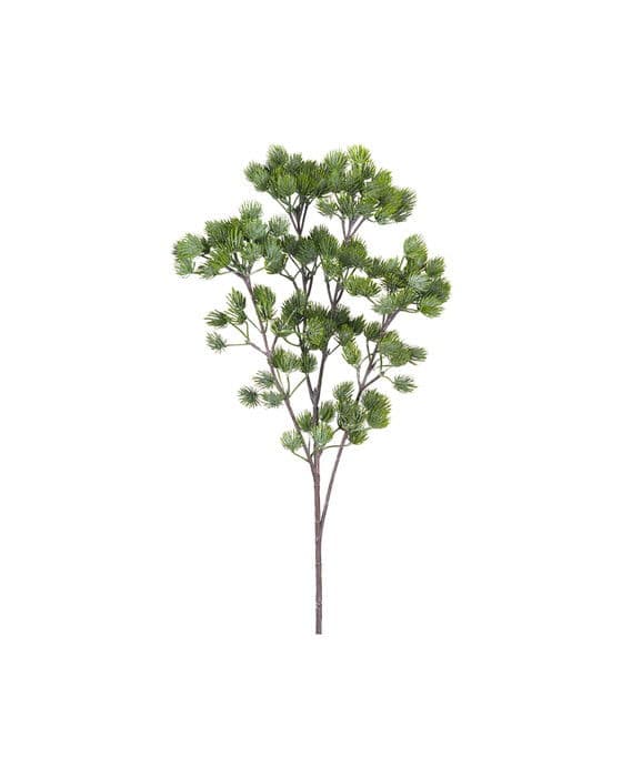 Larch Sprig Green – Newport