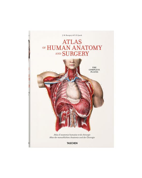 Atlas of Human Anatomi XL