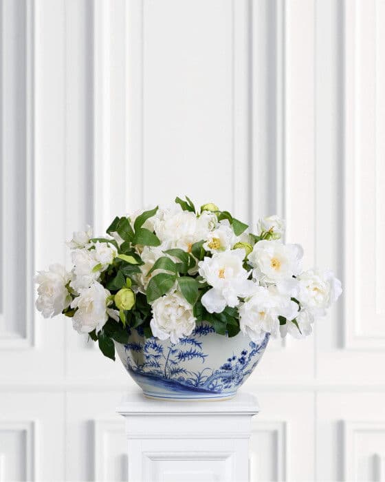 Pioni-ruukkukukka, valkoinen