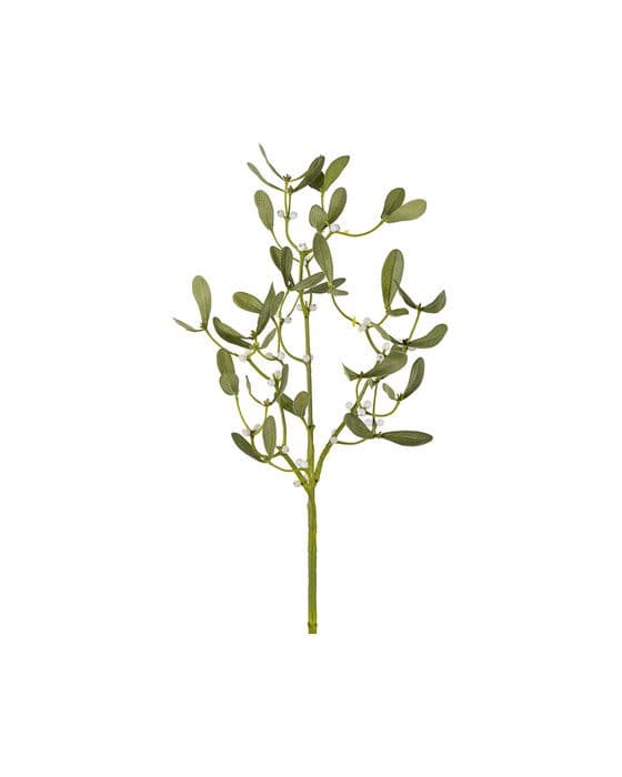 Mistel-leikkokukka, vihreä – Newport