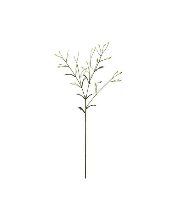 Marjaoksa leikkokukka valkoinen – Newport