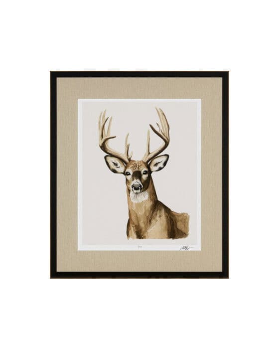 Handsome Whitetail I – Newport