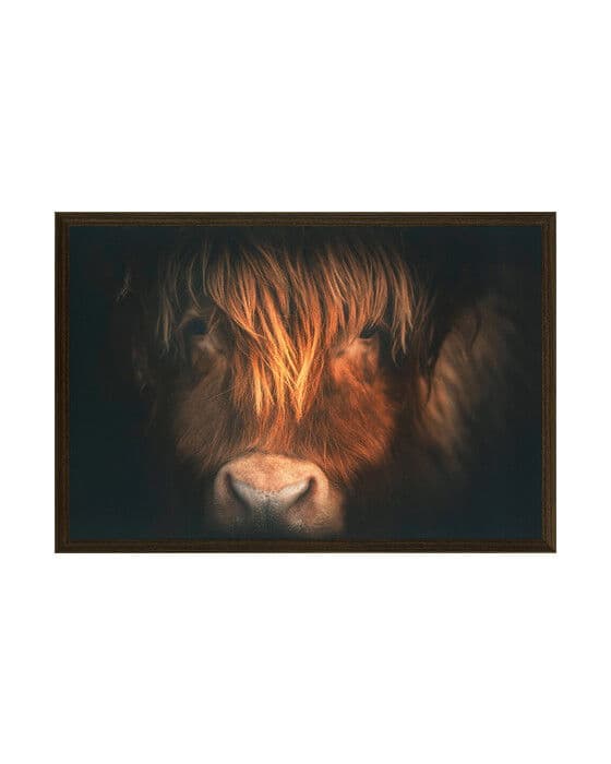 Highland Focus L – Newport