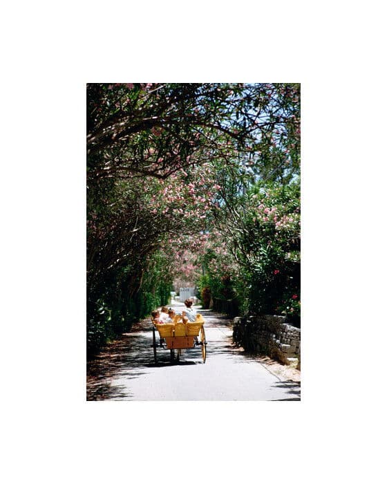 Oleander Drive – Slim Aarons