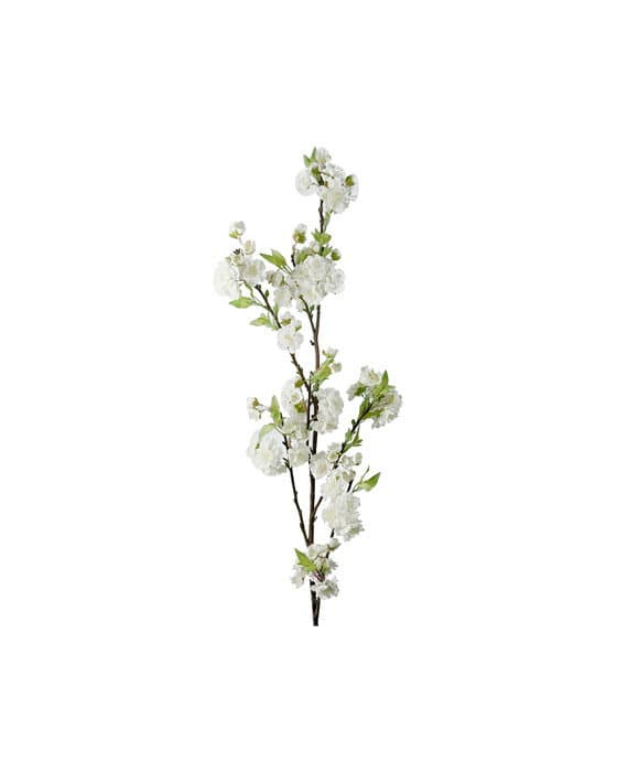 Kirsikankukka valkoinen – Newport