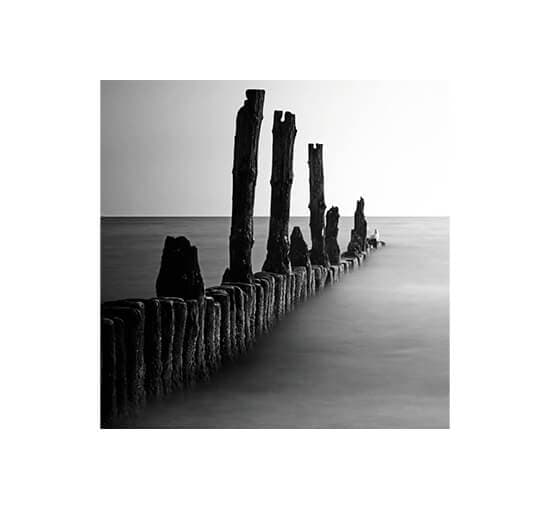 Ocean Front – Cobra Art