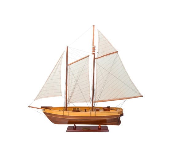 America-mallivene – Authentic Models