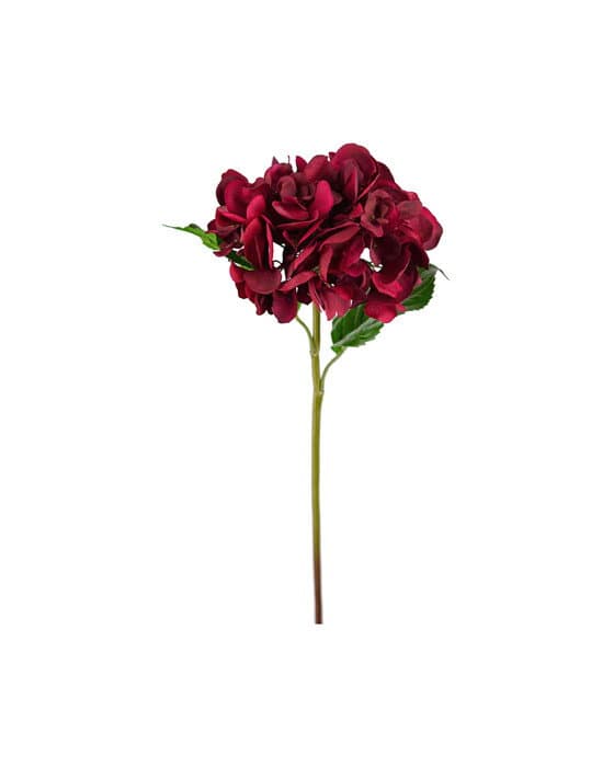 Hortensia-leikkokukka burgundy – Newport