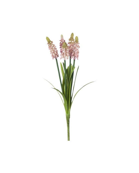 Helmihyasintti leikkokukka vaaleanpunainen – Newport