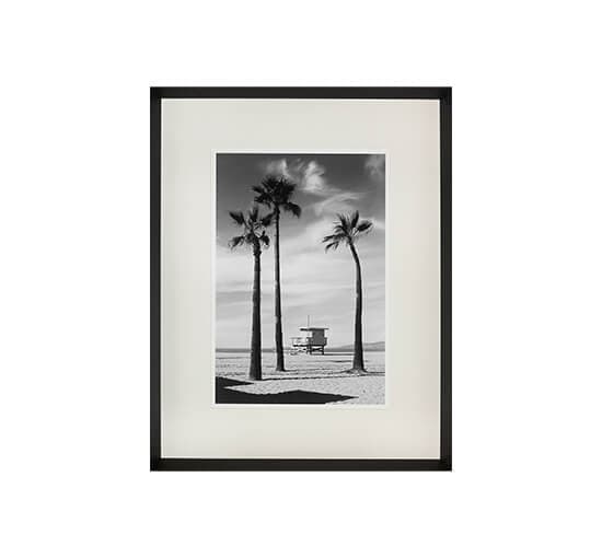 Palmtrees – Newport