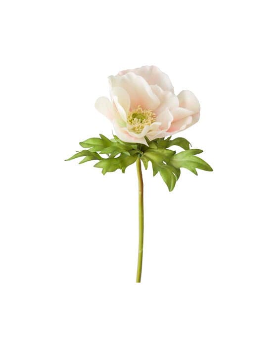 Anemone leikkokukka cream – Newport