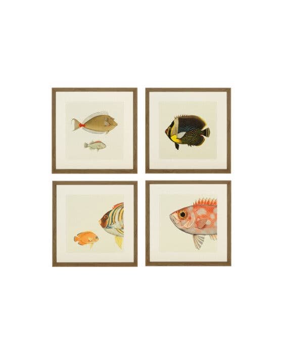 Fishes Set Of 4