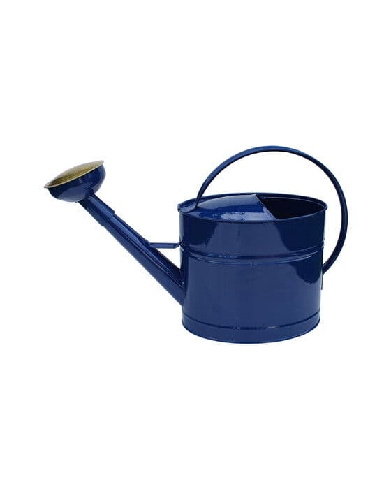 Sihtisuppilollinen kastelukannu, sininen