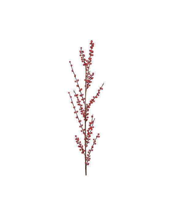 Idun-marjanvarpu punainen – Newport