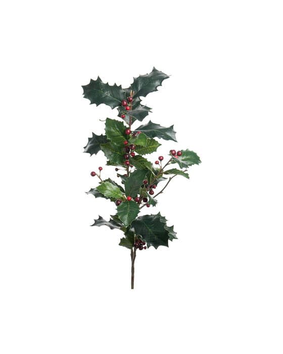 Järnek-leikkokukka, vihreä/punainen 85cm