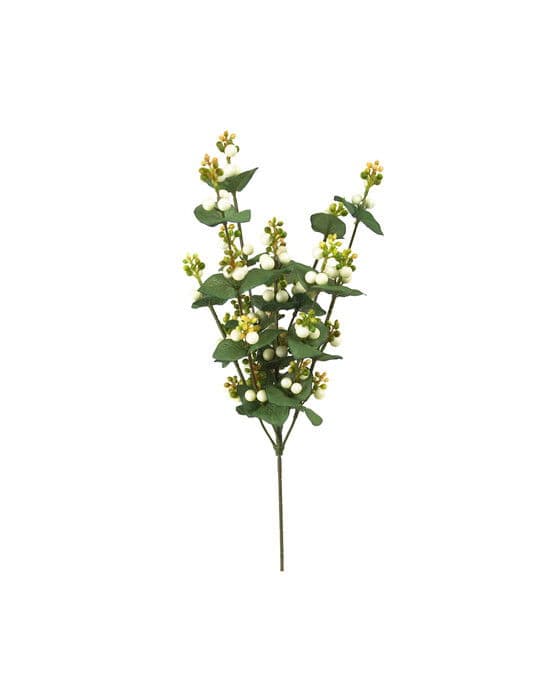Snowberry Cut Flower White – Newport
