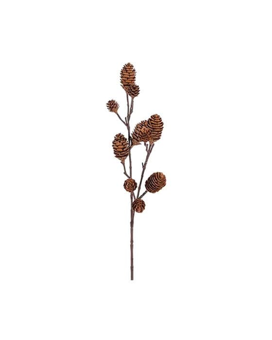 Ivy-käpykoristeoksa