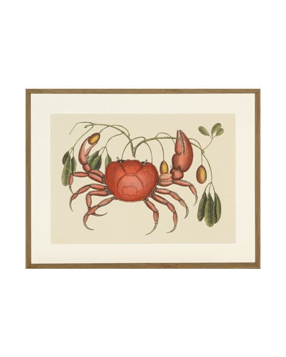 Crab And Tapia – Newport