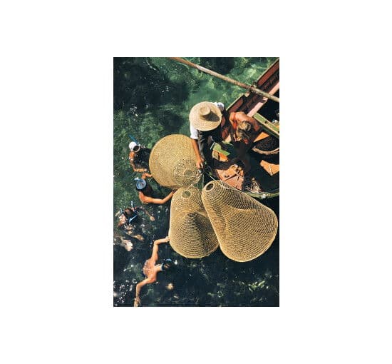 Snorkelling in The Shallows – Slim Aarons