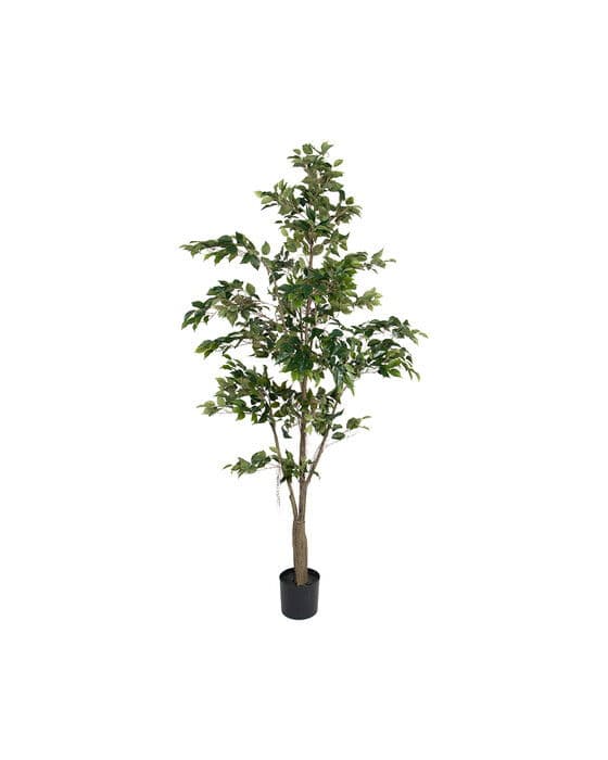 Limoviikuna-tekopuu, vihreä – Newport