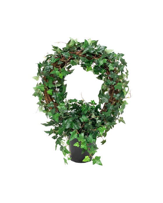 Ruukkumuratti vihreä