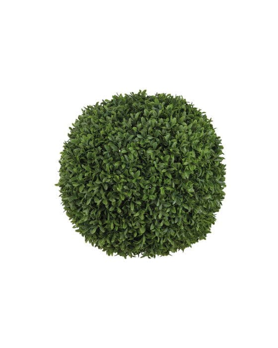 Buxbom-tekokasvi vihreä
