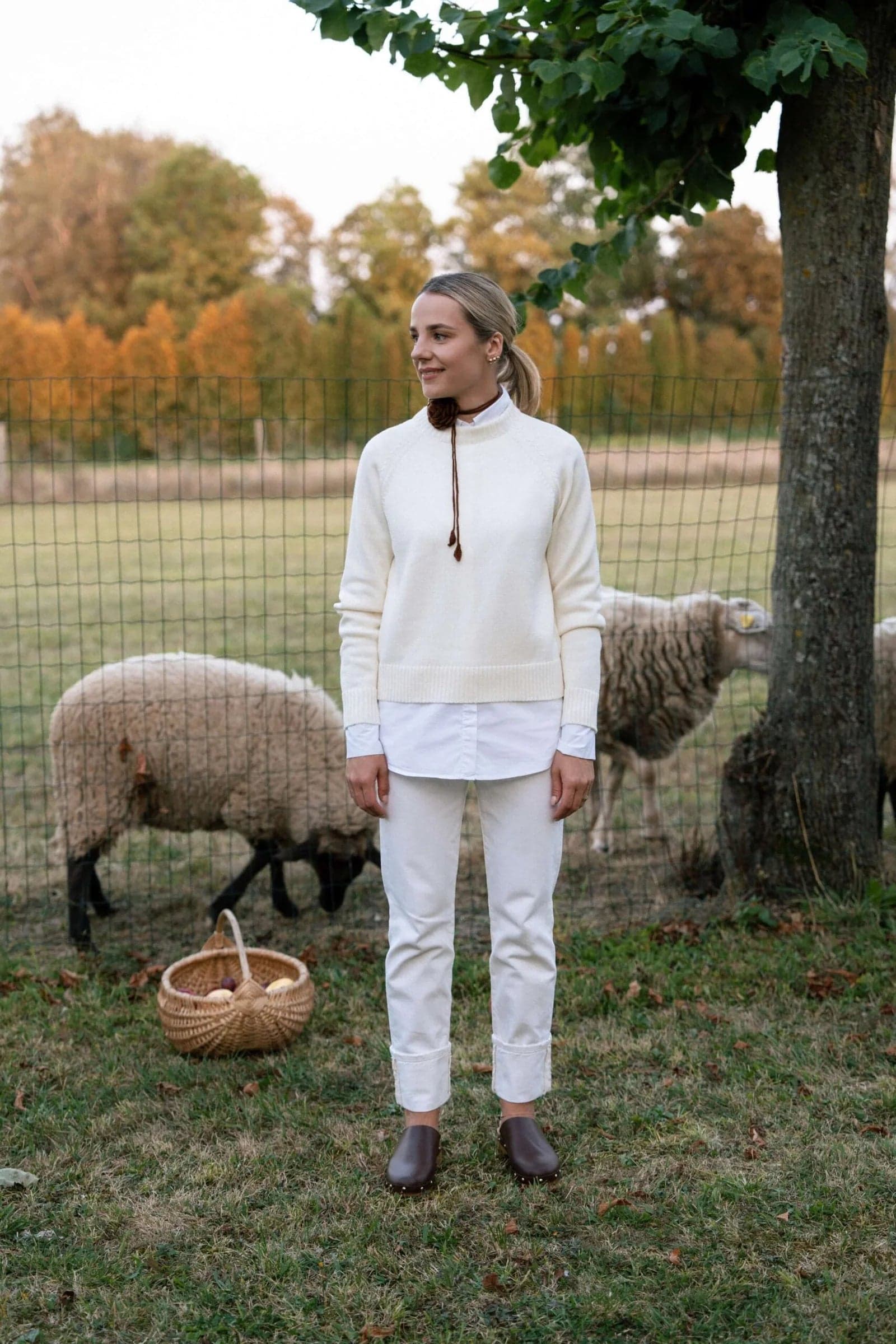Crew Neck Merino Wool Sweater White – Monala