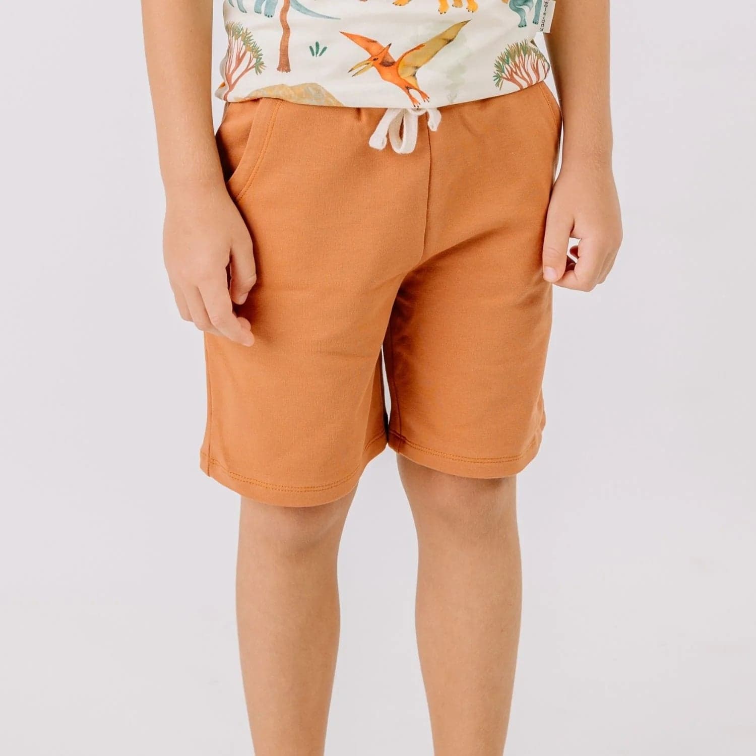 Cocoa Dream Shortsit Ruskea