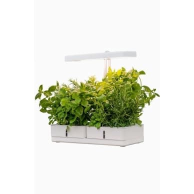 AIRAM Daisy Plant valaistus 20W 1450lm 9610541 Vastaa: N/A