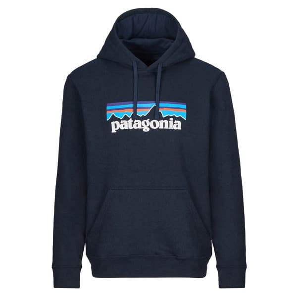 P-6 LOGO UPRISAL HOODY