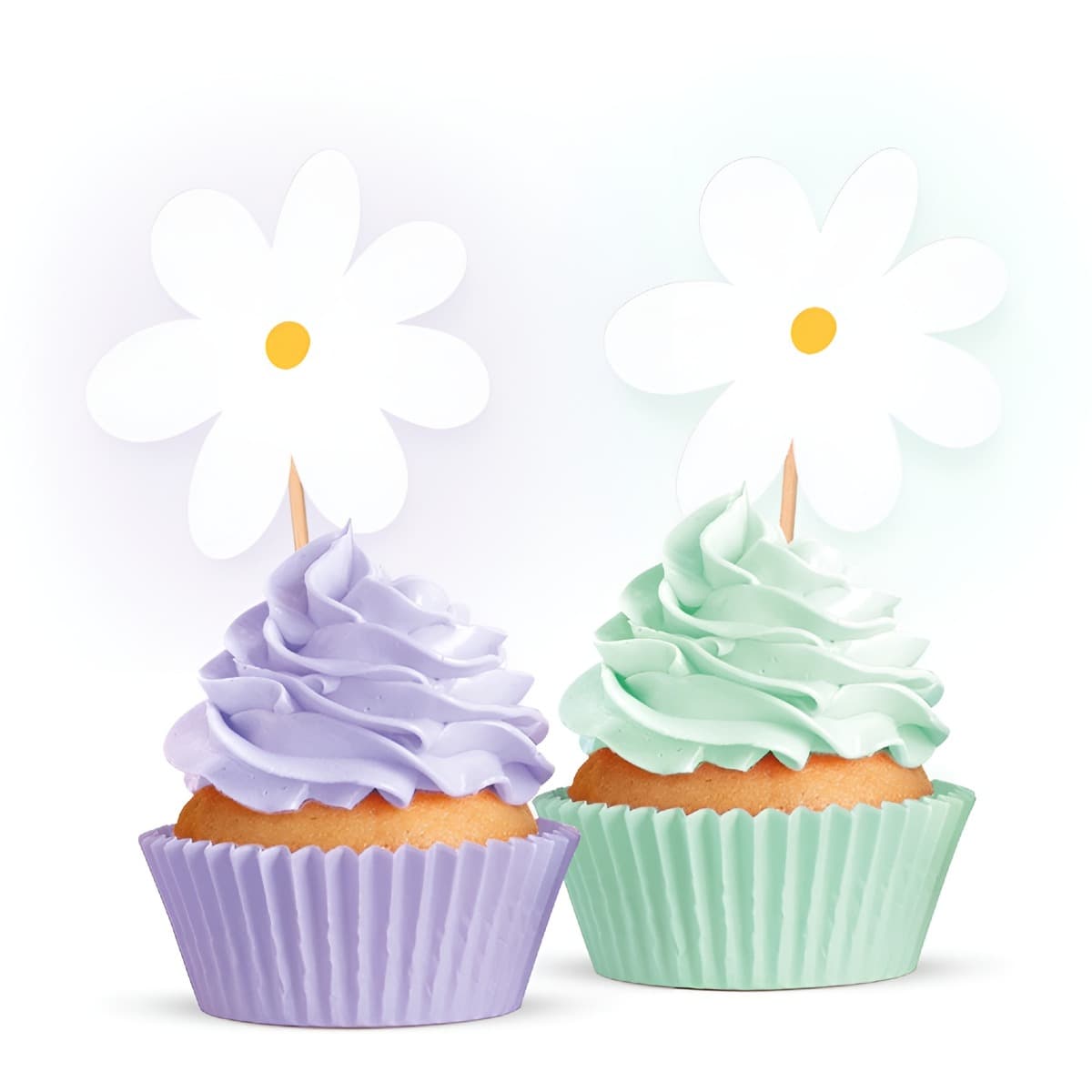 Koristetikut - Päivänkakkara, 12 kpl