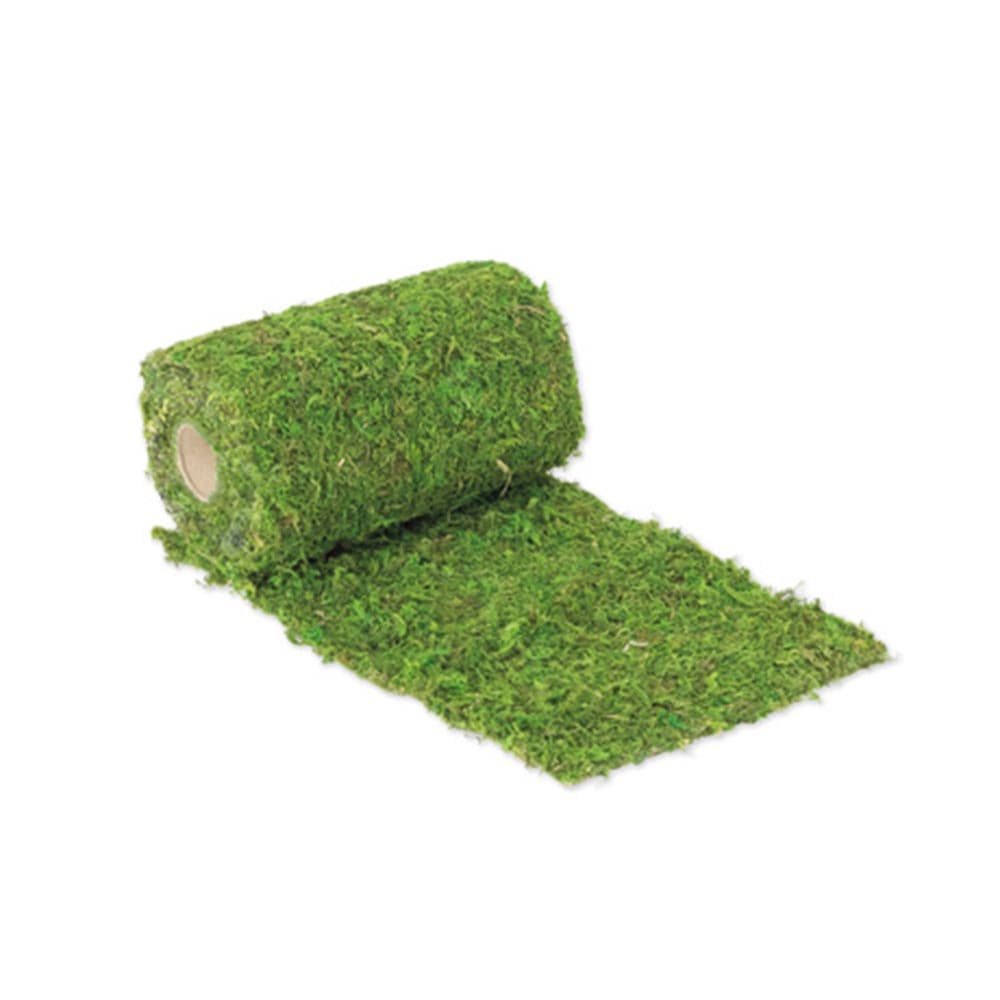 Kaitaliina, Sammal, 2m