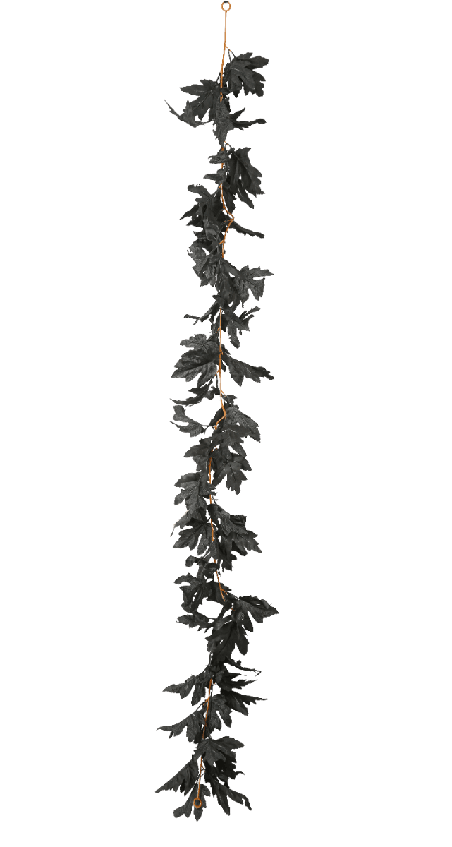 Lehtiköynnös - Mustat vaahteranlehdet, 1,7m