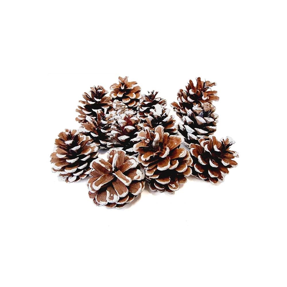 Koristekävyt rautalangalla, 3cm, 12kpl