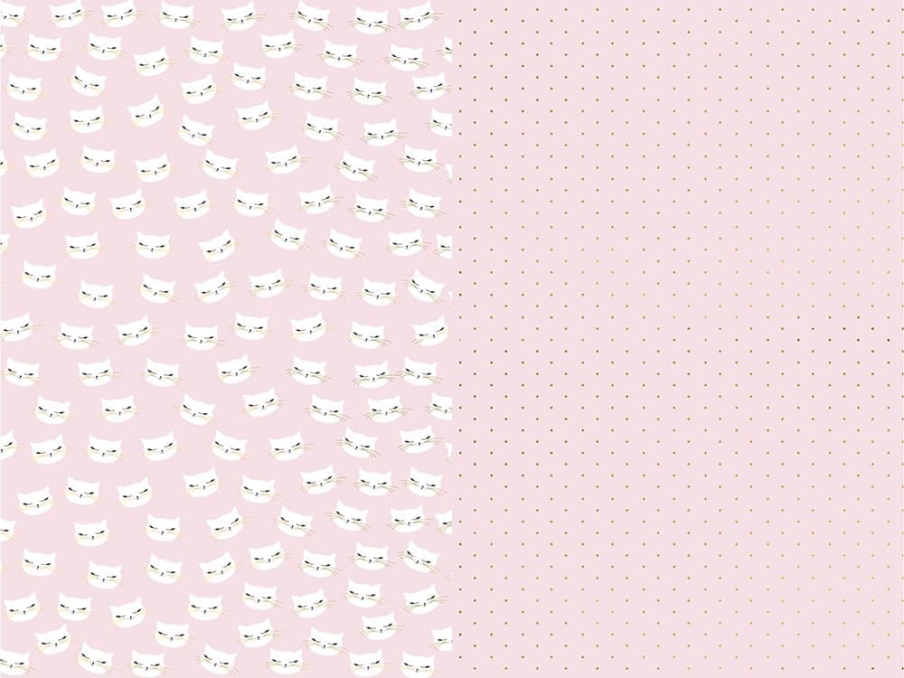 Lahjapaperi Cat