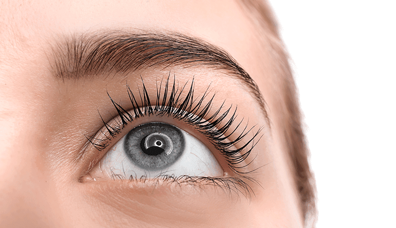 Fare Fawcett Ripsien kestotaivutus ja/tai kulmien laminointi | jopa -62 % | Turku - Ripsien kestotaivutus ja