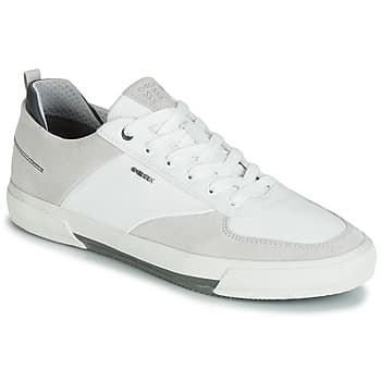 Kengät Geox  KAVEN A  43